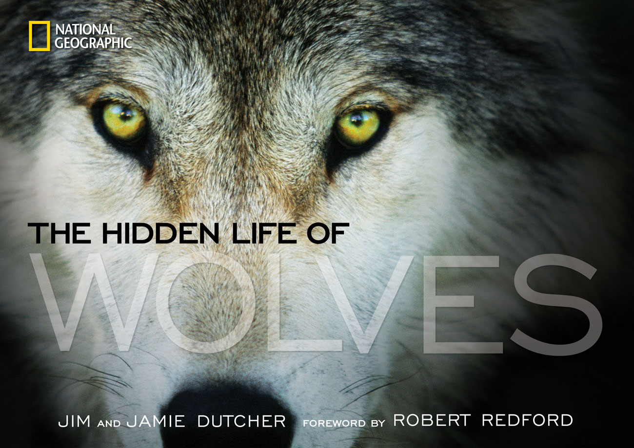 robert redford wolves