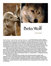 The Sawtooth Beta Wolf