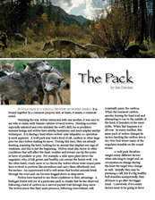 The Sawtooth Wolf Pack